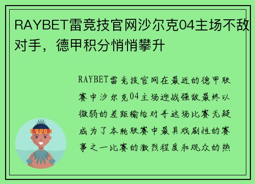 RAYBET雷竞技官网沙尔克04主场不敌对手，德甲积分悄悄攀升